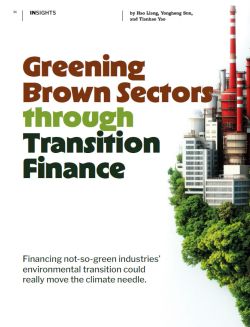Greening Brown Sectors through Transition Finance