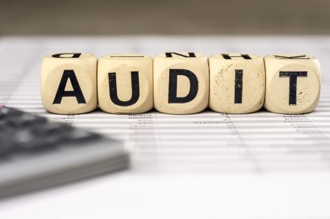 Audit title