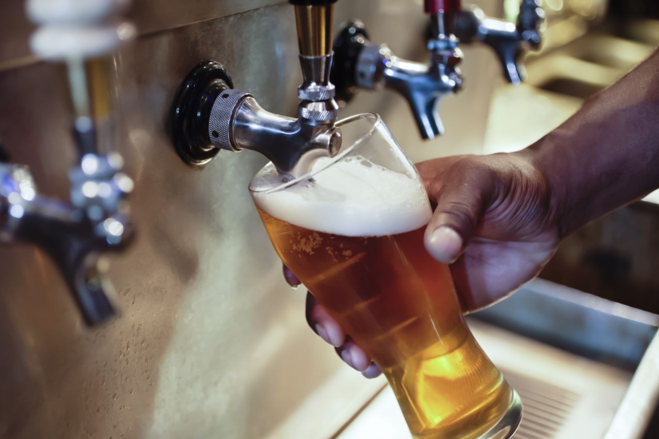 Welcome to the Jungle...Beer Welcome to the Jungle...Beer