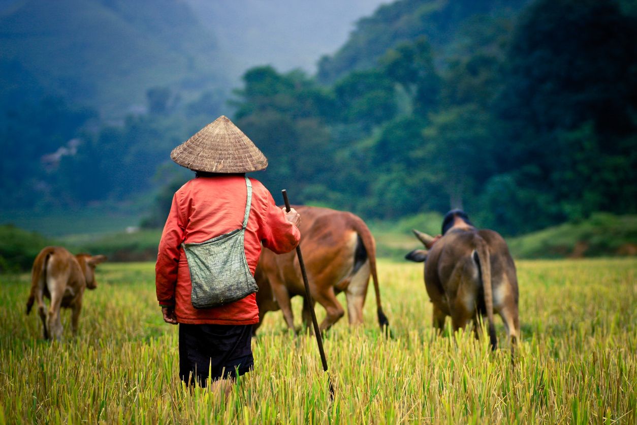 Daung well by Daung good 