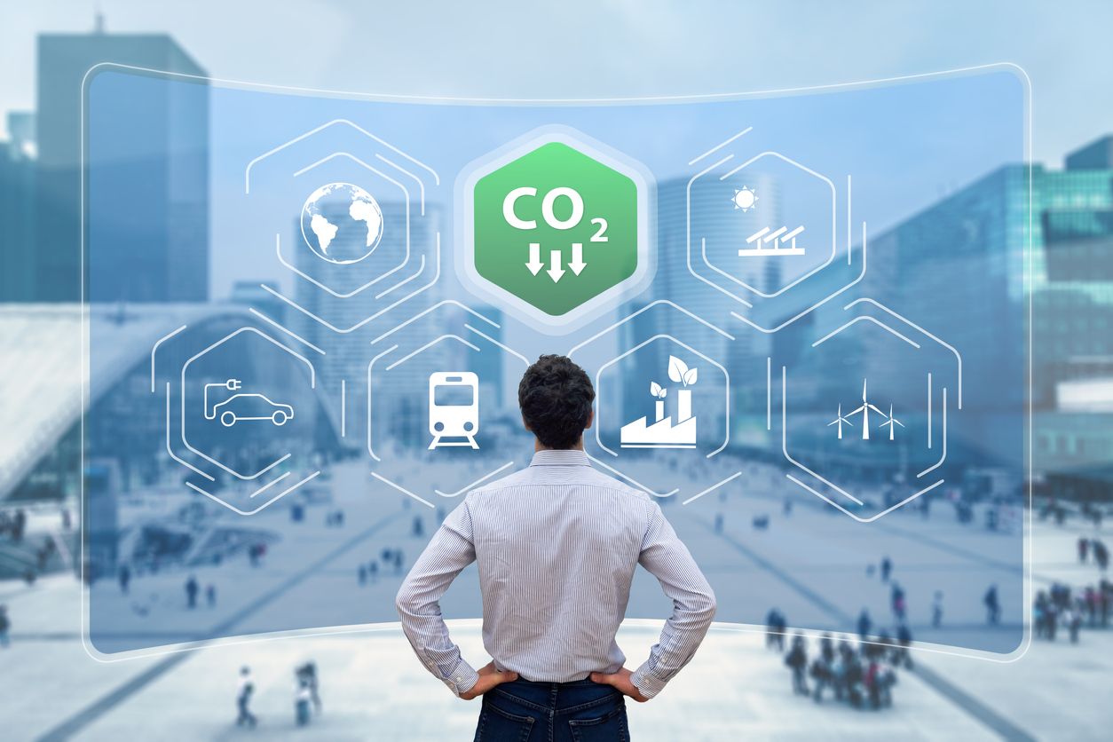 Sustainability obligations and liabilities for the company director Sustainability obligations and liabilities for the company director