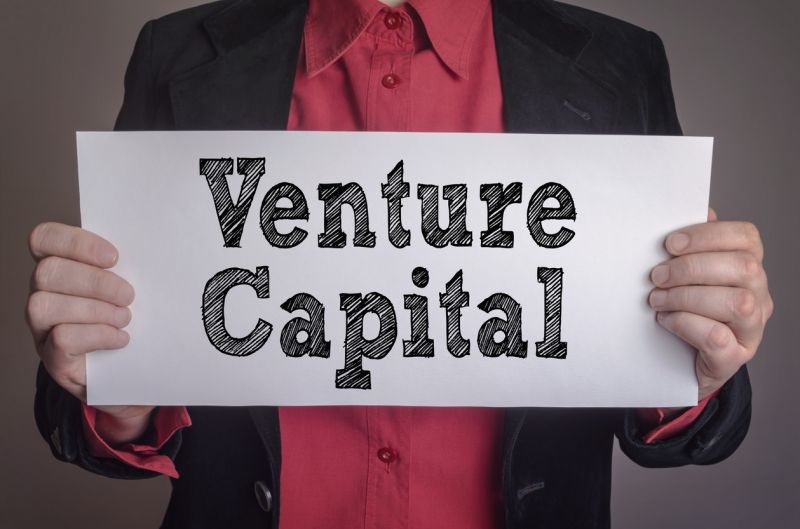 The unicorn of venture capitalists The unicorn of venture capitalists